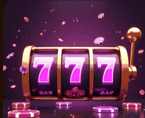 33qin